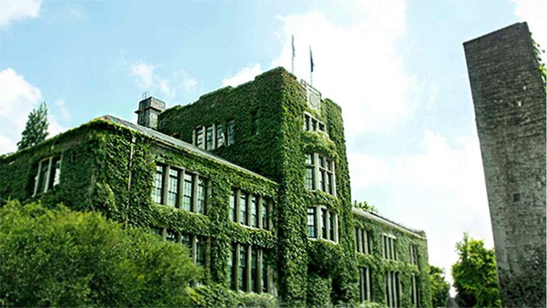 연세대학교