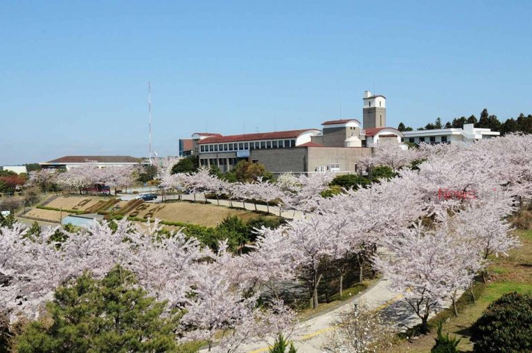 제주인재개발원