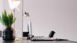 글로벌-의전과정